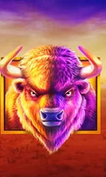 Buffalo King